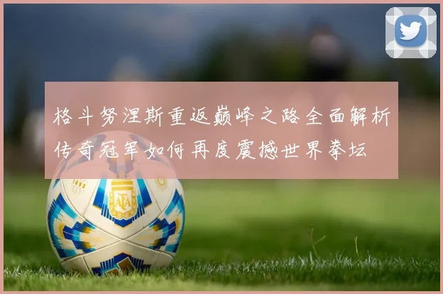 格斗努涅斯重返巅峰之路全面解析传奇冠军如何再度震撼世界拳坛