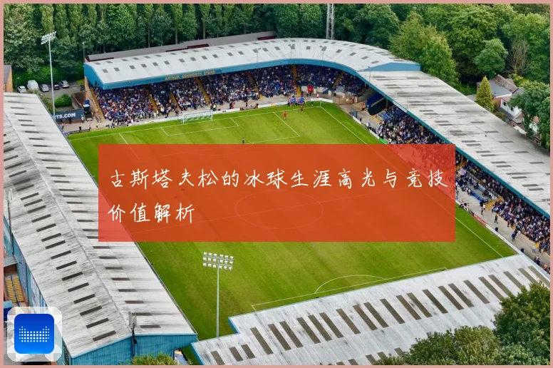 古斯塔夫松的冰球生涯高光与竞技价值解析
