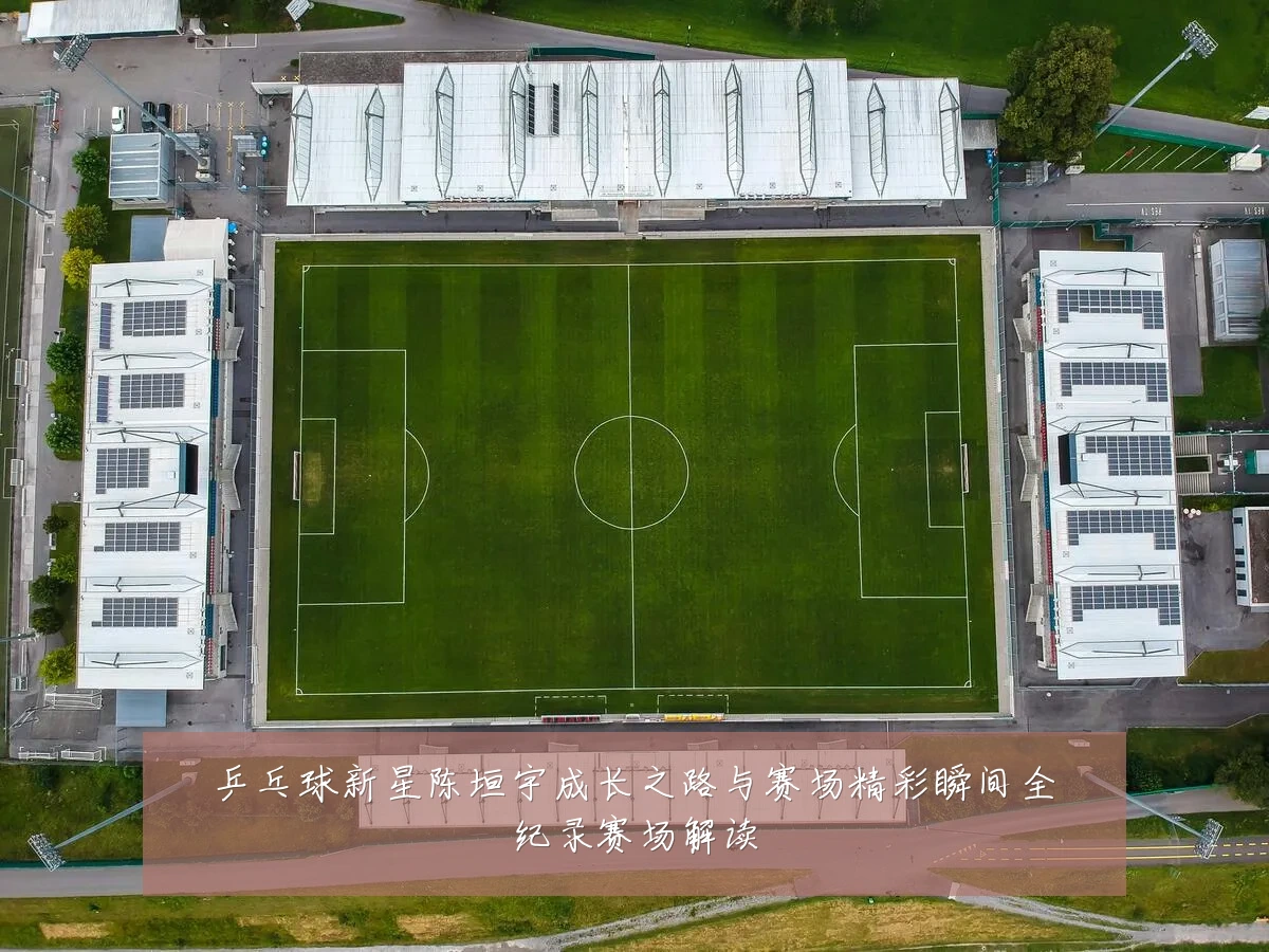 乒乓球新星陈垣宇成长之路与赛场精彩瞬间全纪录赛场解读