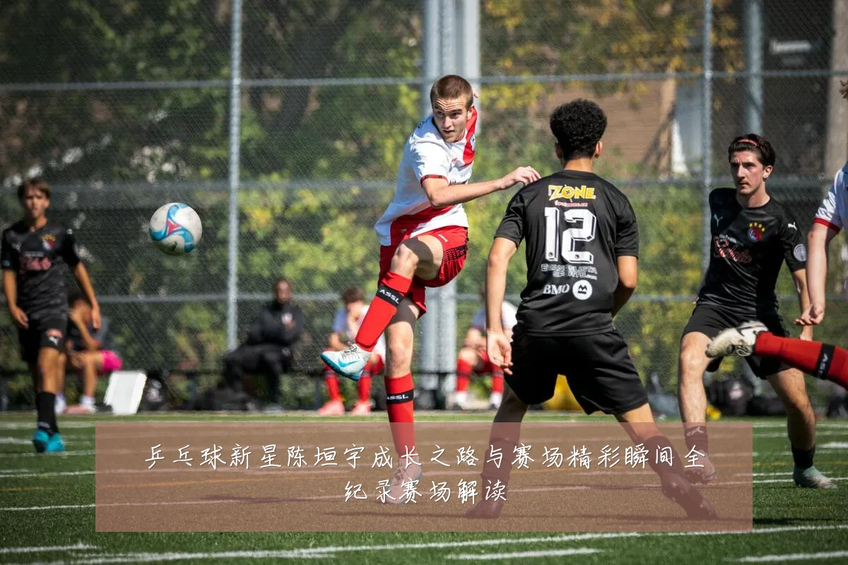 乒乓球新星陈垣宇成长之路与赛场精彩瞬间全纪录赛场解读